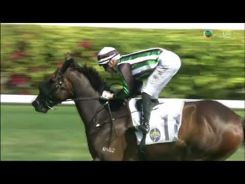 2021/22 (570) - Natural Gold (自來金) - 希威森