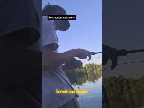 pesca con mosca escobar buenos aires argentina