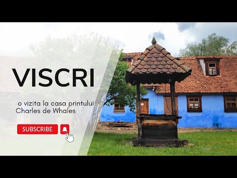 VISCRI - un satuc de poveste