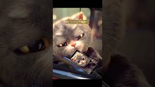 Download lagu story wa sedih|story wa kucing sedih #shorts #storywa mp3