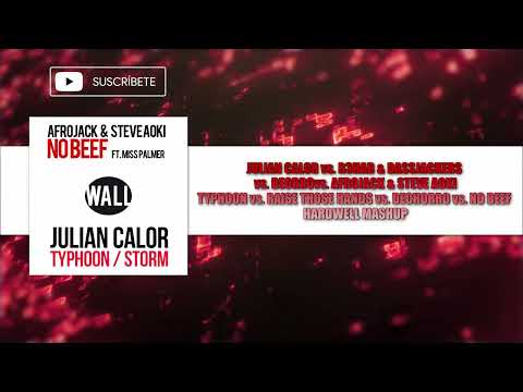Typhoon vs. Raise Those Hands vs. Dechorro vs. No Beef (Hardwell Mashup)