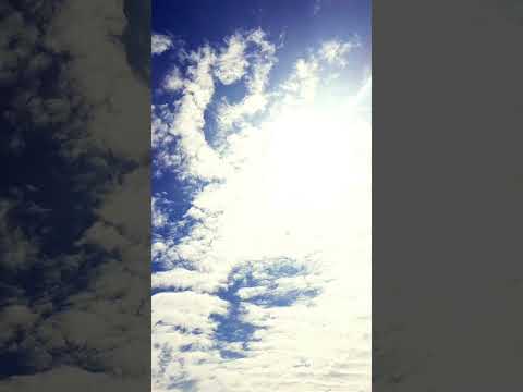 #freerishta #zarooratrishta #caketraining #aveeplayr #popularshorts #alizasehar #trending