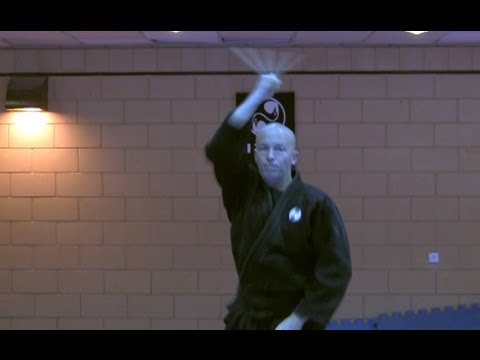 HANBOJUTSU Short stick fighting techniques of the Ninja and