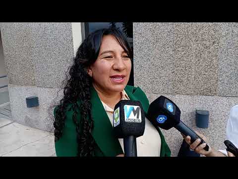 La intendente de Villa de la quebrada habló sobre la festividad del cristo