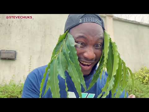 THE MONEY DOUBLER || UDODI|| MADAM GOLD