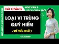 Loại vi trùng quý hiếm Ngữ văn lớp 8 Chân trời sáng tạo