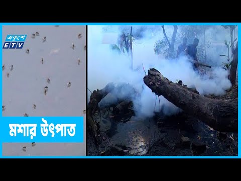 মশার উৎপাতে নাকাল রাজধানীবাসী