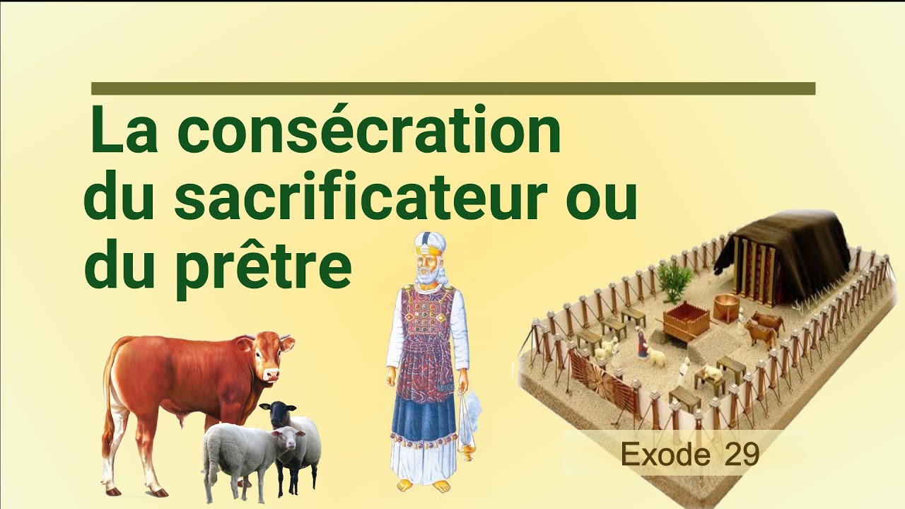 99 - La consécration du sacrificateur ou prêtre (Exode 29)