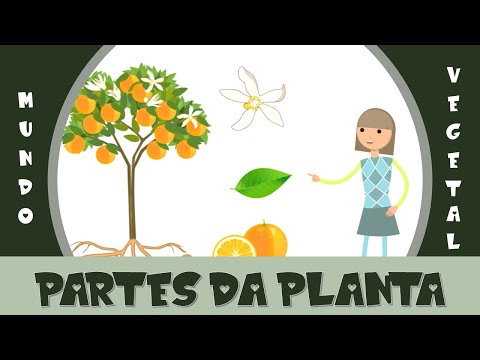 2. Mundo Vegetal - Partes da planta