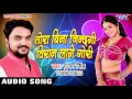 Tora Bina Jinagi Viran Lage Gunjan Singh Mile Aiha Chori Chori Bhojpuri Sad Song
