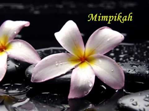 DEWI YULL - KAU BUKAN DIRIMU (LIRIK), Klip : Dina