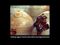 CARTA: Imagination and Human Origins - Lyn Wadley Maurice Bloch Lera Boroditsky