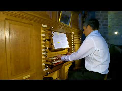 Pavana del Re à l'orgue de Nay avec Frédéric Deschamps