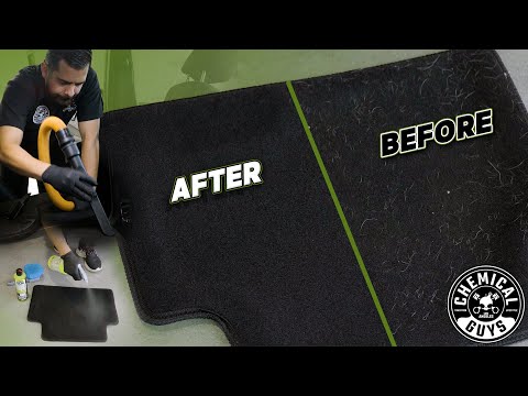 Pet Hair All Over Your Car? Tips and Tricks to Free Those Fur Friend Follicles! - Chemical Guys