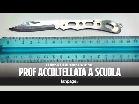 Segni di lyambliya a un gatto I primi segni che parassiti in un corpo umano
