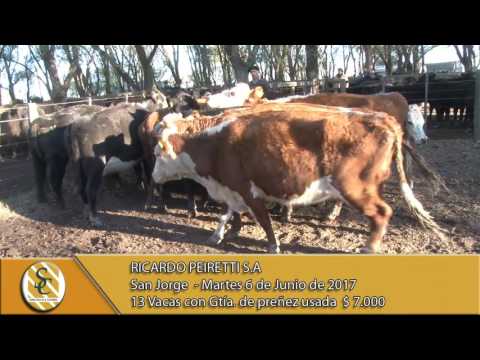 06-06-17 Venta de Vientres - Ricardo Peiretti S.A. - San Jorge.