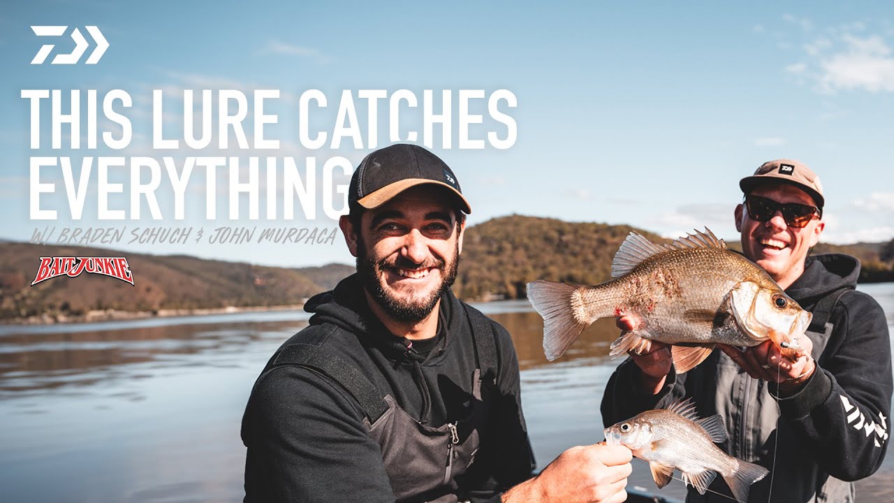 Daiwa Baitjunkie 2.35in Prawn Plastics video thumbnail