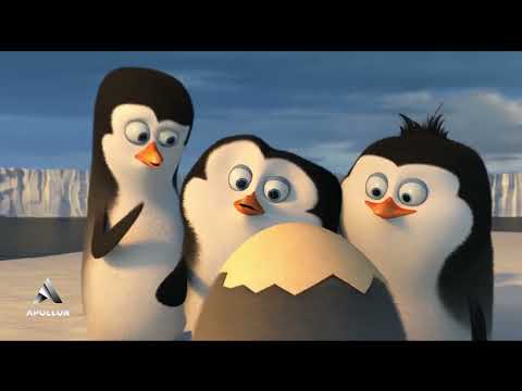 Želiš izbor i skrol do besvesti? Onda je Apollon pravi izbor za tebe!