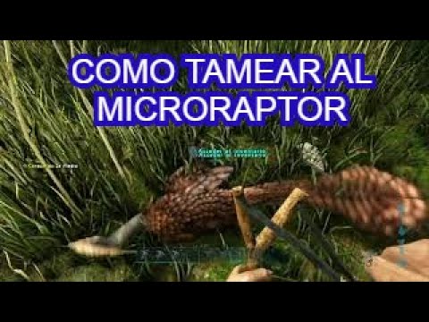 ARK Survival Evolved - COMO TAMEAR AL MICRORAPTOR
