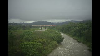 台鐵橫山大橋強陣雨後油羅渓弯々  正當1826次と台中6205次山線から莒光專列 0315 2025