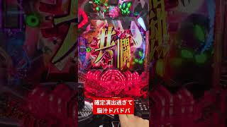 【パチンコ】次回予告とかカヲルくんの欲望詰め合わせセットで3テンパイで脳汁ドバドバ【P シン・エヴァンゲリオン 129 LT ver.】#パチンコ #シンエヴァ #カヲル