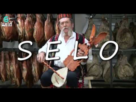 6wild - Selo (Audio)