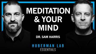 Essentials: Using Meditation to Focus, View Consciousness & Expand Your Mind | Dr. Sam Harris