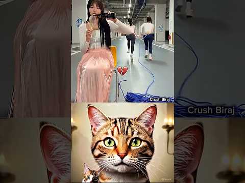 Dangerous stunt 😳#cat #meme #dance #trending