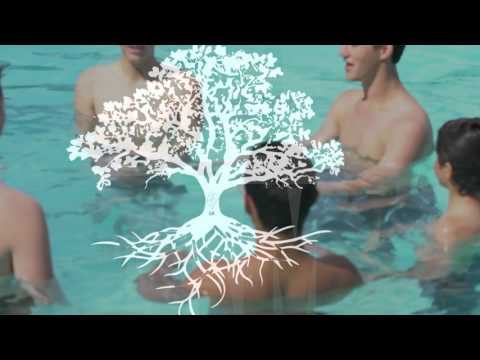 GeeFam "the story of the fish" synchronised swimming champs