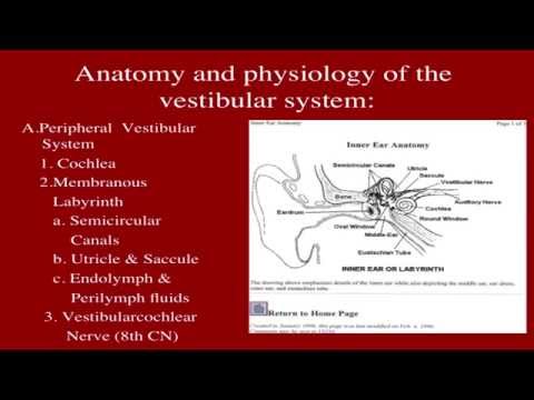 FFYT - Vestibular Rehabilitation - Jun. 2014