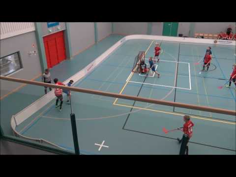 SUDET D03 pun-NST 18.2.2017  2ERÄ