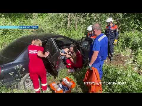 Сводка происшествий / 10.06.2024