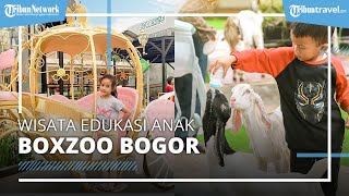 Asiknya Wisata Baru BoxZoo Bogor, Ada Paket Wisata Berkuda Mulai Rp 75 Ribuan