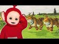Special Animals Compilation 3 Hours Of Teletubbies Including The Animal Parade