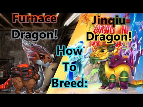 Dragon Mania Legends PC - How to breed the Jinqiu and Furnace Dragons!