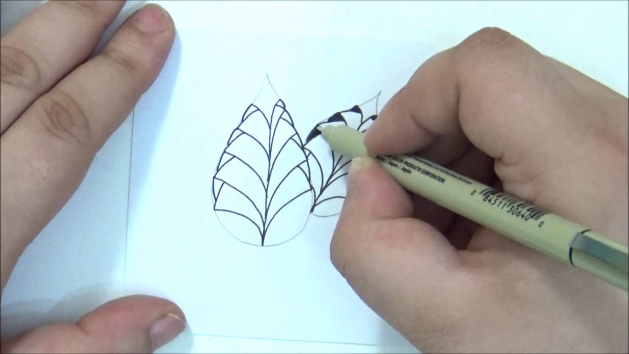 Phicops Leaves Tutorial