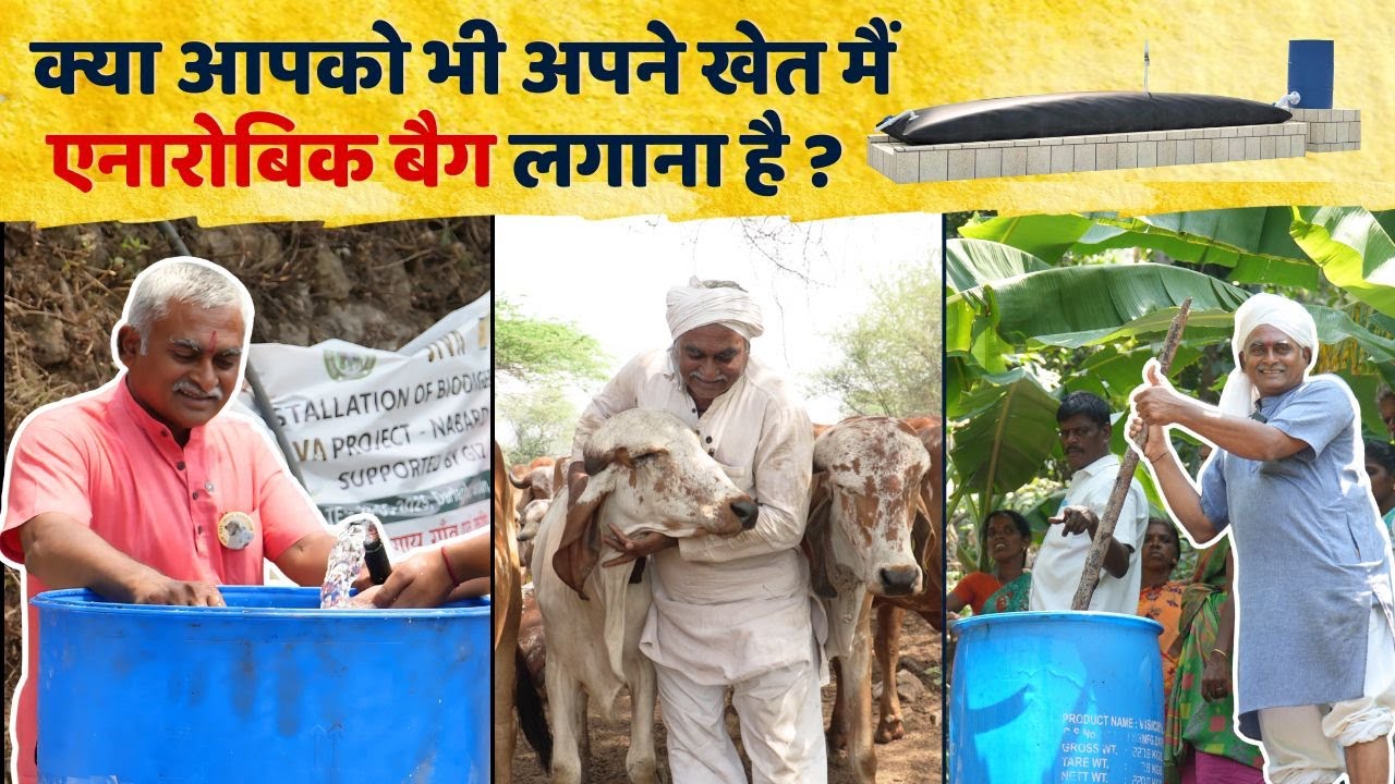 Natural Farming and Bio Fertilizer