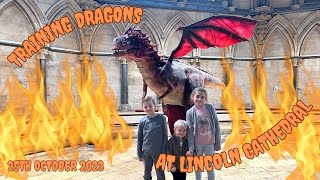 Dragon Experience at Lincoln Cathedral | Story Telling | Dragons | Lincoln Cathedral