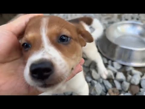YouTube 썸네일