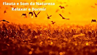 Som Relaxante - Flauta e Som da Natureza para Relaxar e Dormir