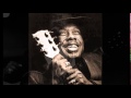 Jimmy Rogers ~  ''Mistreated Baby''&''I Can't Sleep For Worrying''( Electric Chicago Blues 1973)