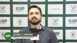 Miniatura do vídeo