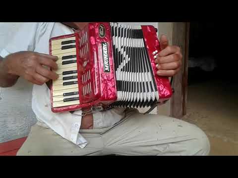 Acordeon 8 baixos da pra tocar de verdade !!!