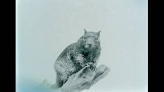 Houston Zoo – June 17, 1962