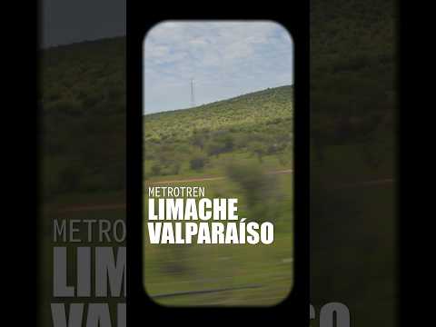 Metrotren Limache-Valparaíso  #chile #valparaiso #travel