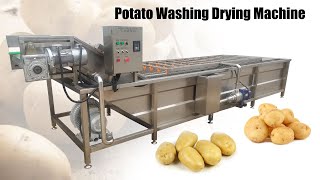 2021 bubble potato washing machine | industrial potato washing drying line
