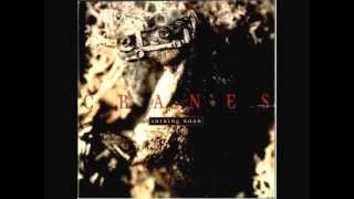 CRANES - Shining Road (Album Version)