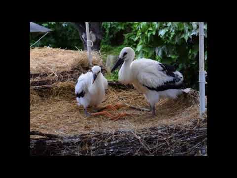 2017-06-03-France, Strasbourg