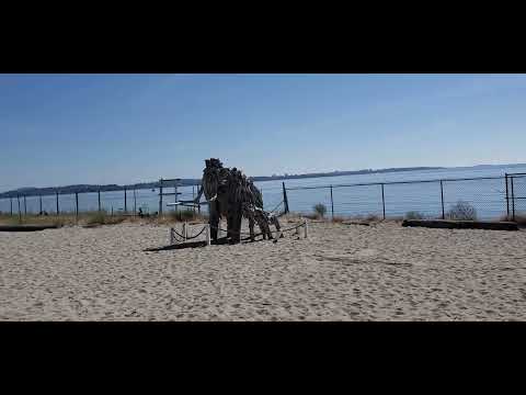 Crystal Clear beaches # Beautiful beach # The Best Island for Beaches # Pacific Beach