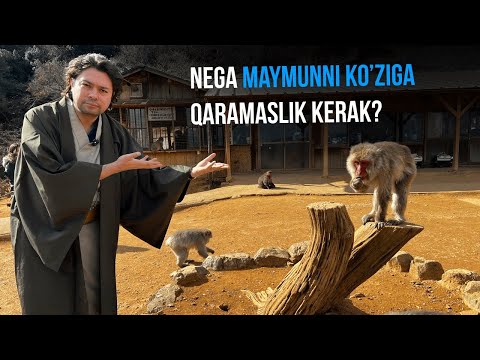 Yaponiyadagi Maymunlarning Farosati Bormi?